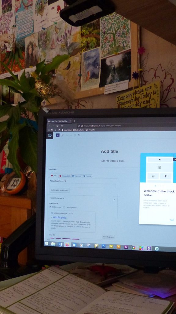 A post about moving on. A computer screen with a blog post in grogress.