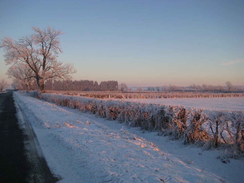 Samhain, the Winter Quarter. A blanket of snow covers hedgerows and fields. The low winter sunset glows orange across the landscape.