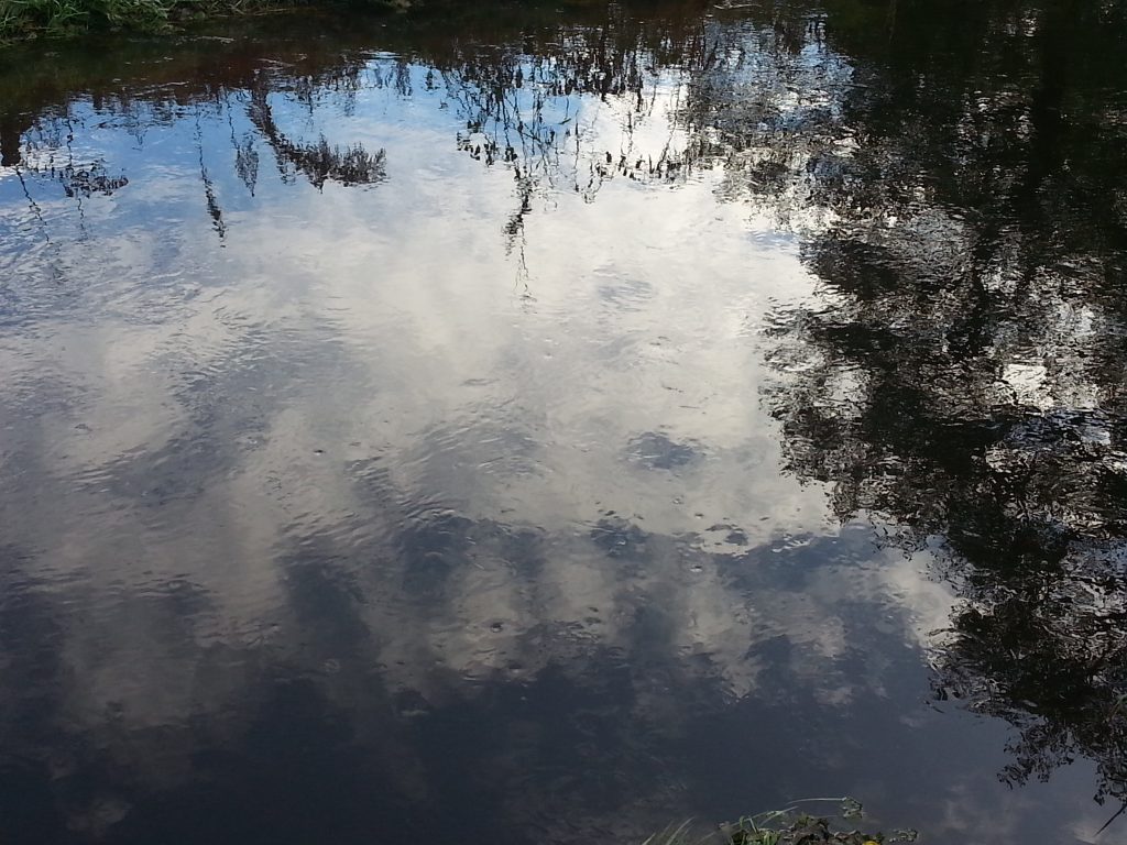 A close up of a river with the reflections of the trees and sky. Relating to the emotions of the highly sensitive person or empath.