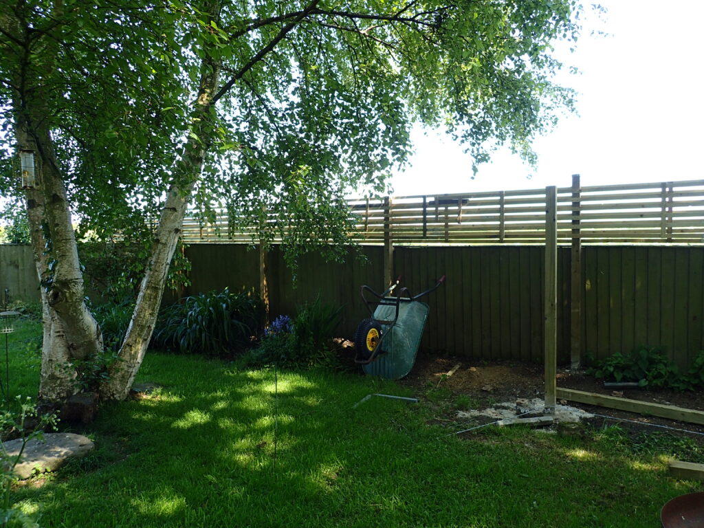 A birch tree casting dappled light with a wheel barrow leaning against a newly repaired fence.