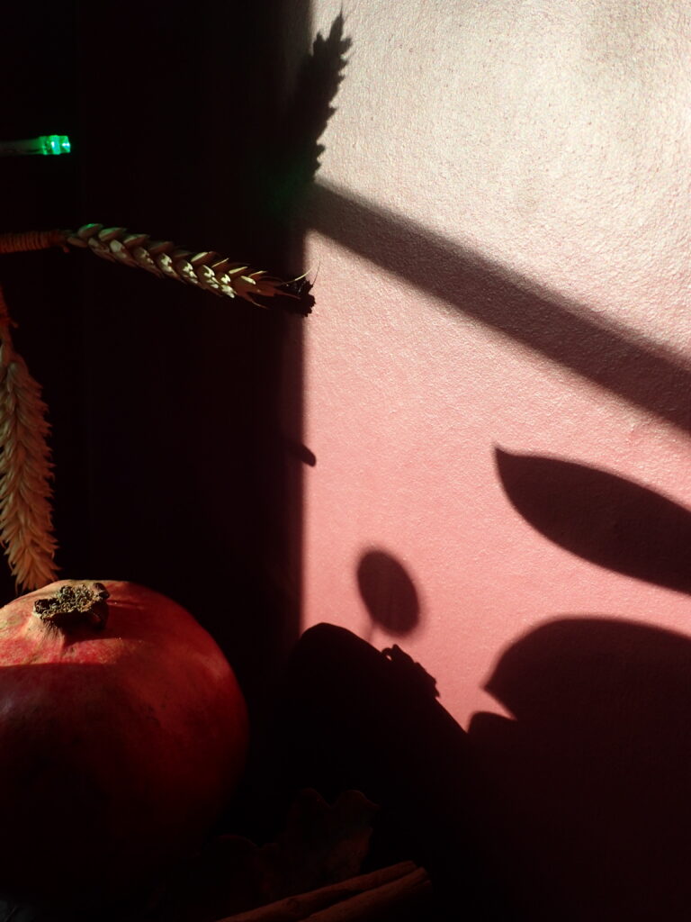 Light and shadow reflected onto a burgundy coloured wall.