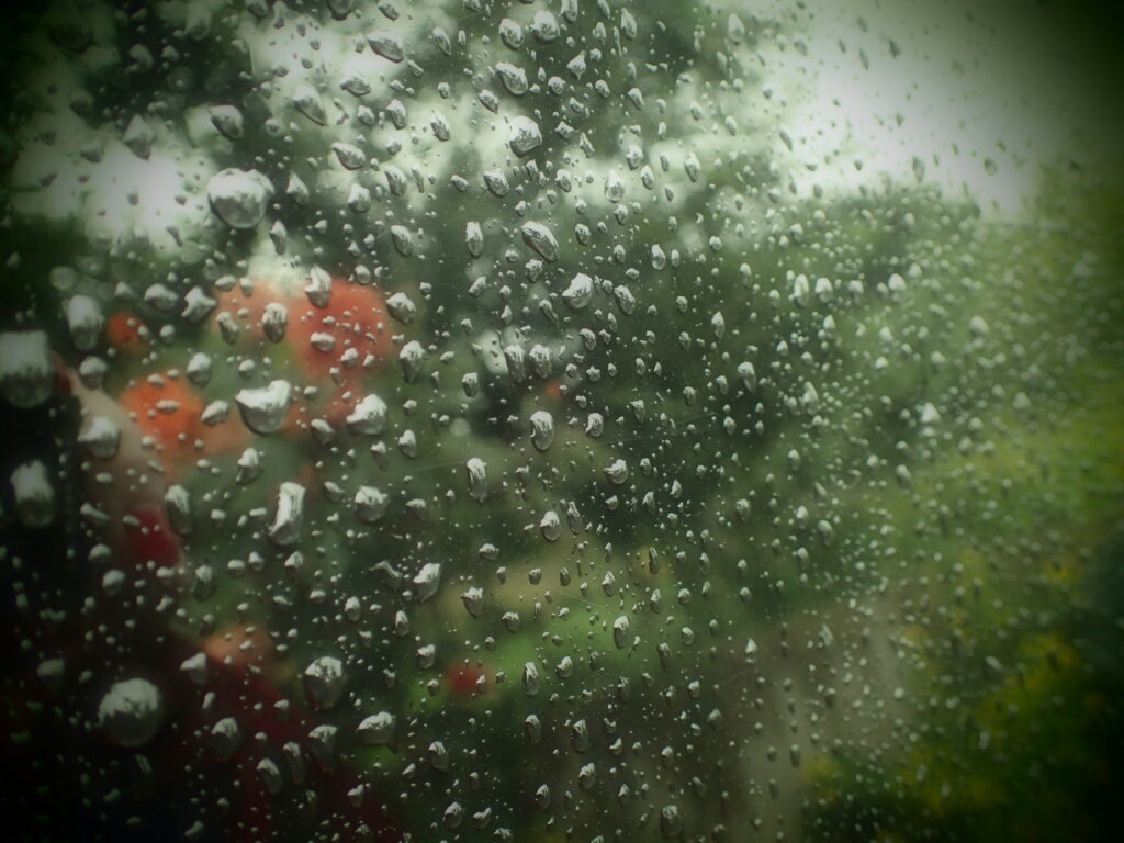 Rain drops on the side of a vehicle reflecting green and orange colours.